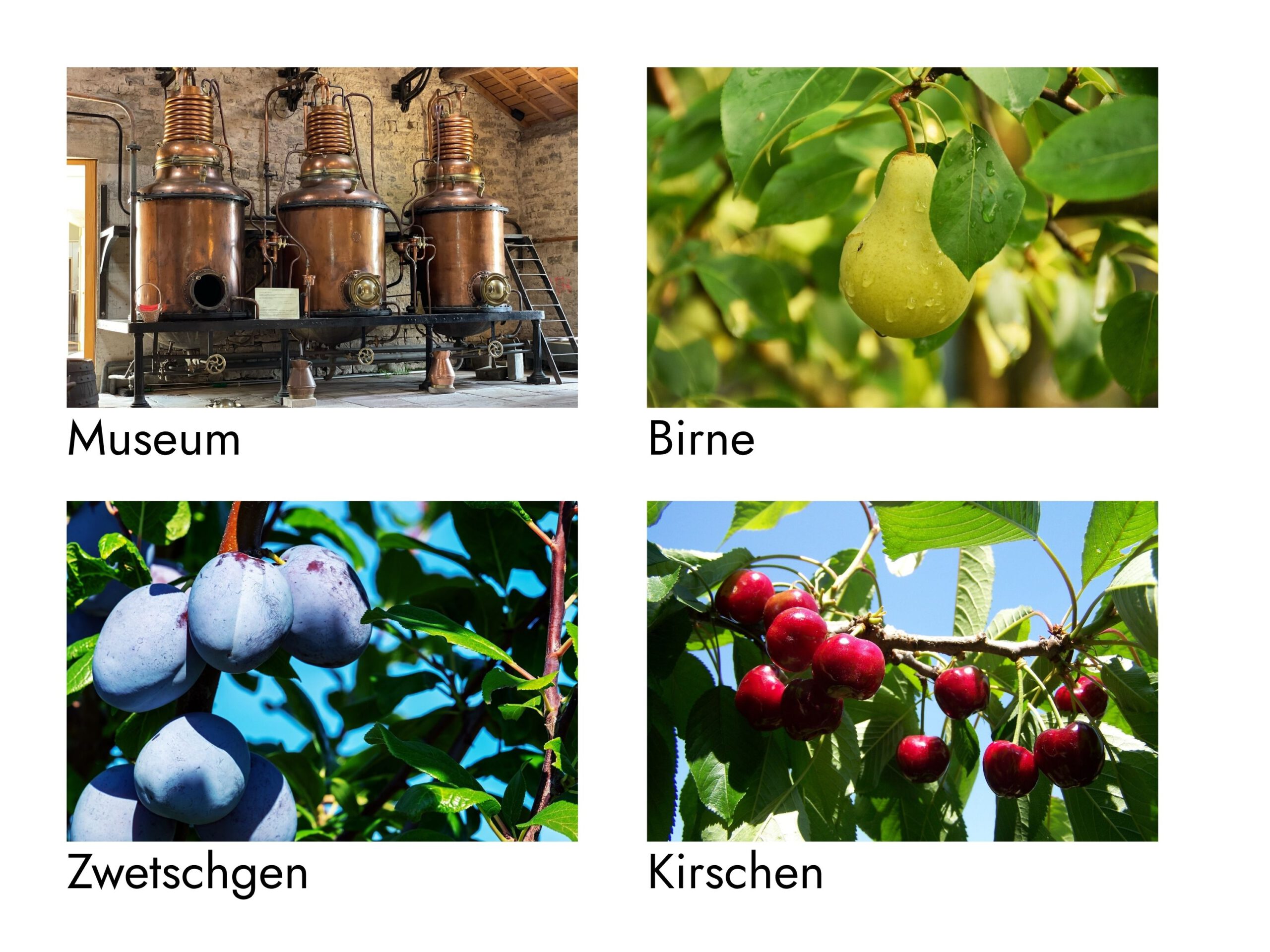 Postkarte DIN A6 – Bild 4