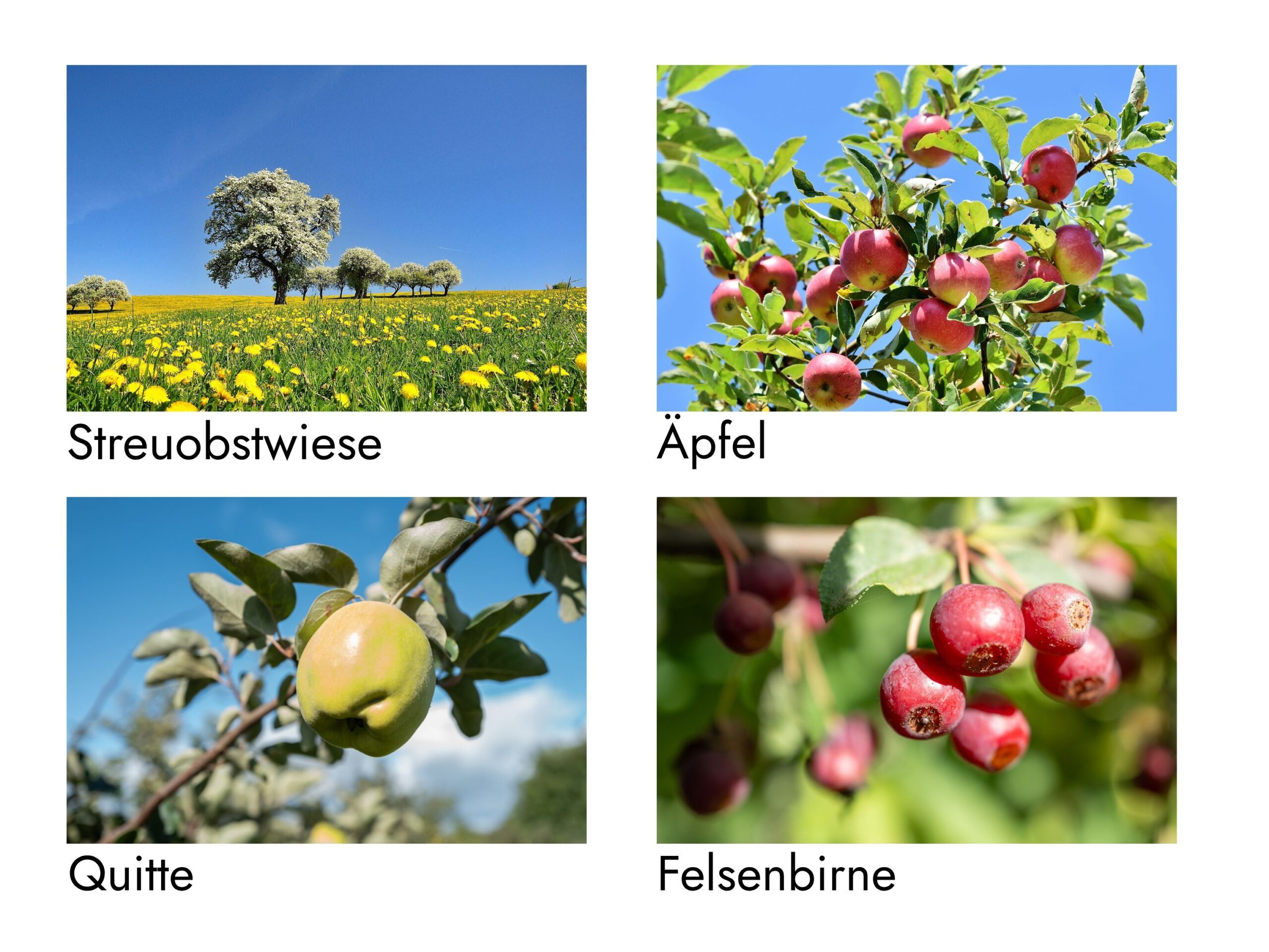 Postkarte DIN A6 – Bild 3