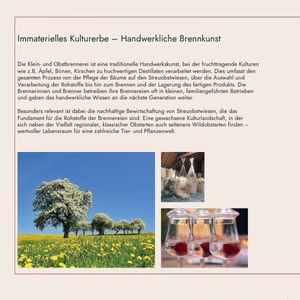 Flyer 16x16m, 4seitiges Faltblatt